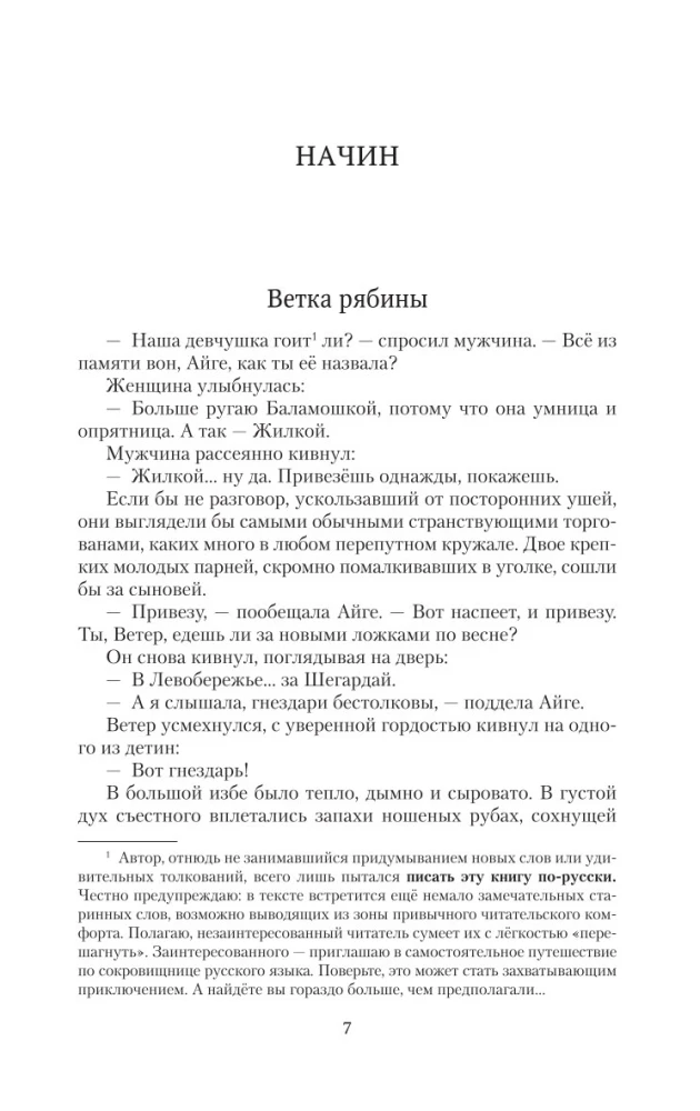 Братья. Книга 1. Тайный воин